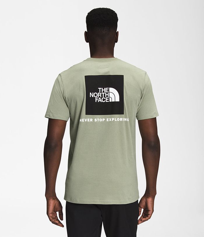 The North Face T-Shirts Short Sleeve Box NSE Green - Mens - Thailand DPJQM-9726